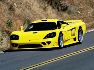 Automobile, Saleen S7, Super