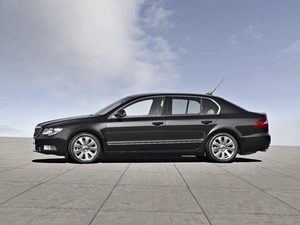 black, Left, side, Superb