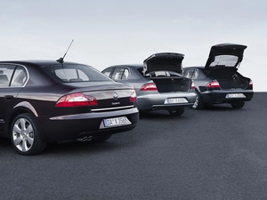 Superb, Racks, Skody