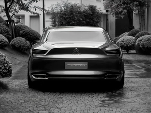 Back, tips, exhaust, Citroen Metropolis