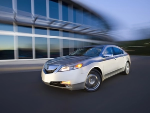 Halogen, Toyota Silver, Acura TL