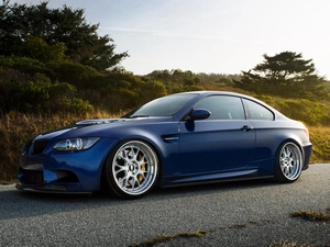 trees, viewes, BMW M5, Way, Blue