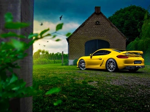 viewes, birds, house, trees, Porsche Cayman GT4