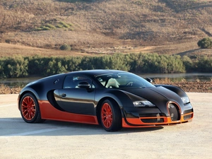 viewes, slope, River, trees, Bugatti Veyron Super Sport