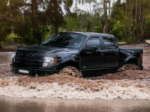 trees, viewes, Raptor, River, Ford