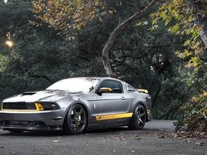 trees, viewes, Mustang, Way, Ford