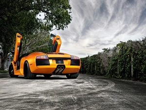 Way, viewes, Lamborghini, trees