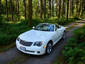 trees, forest, viewes, Way, Crossfire, Cabriolet, White, Chrysler, Automobile