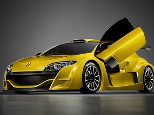 Doors, Renault Megane Trophy, The hinged