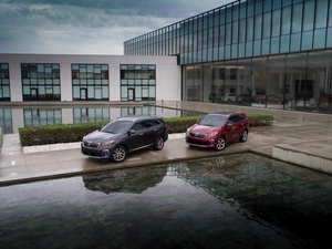 2019, Two cars, Kia Sorento