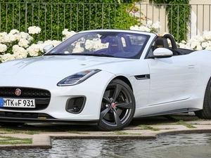 White, Jaguar F-Type