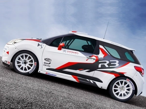 relly, Citroen DS3, version