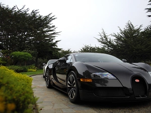 Black, Bugatti Veyron