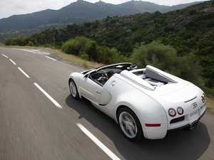 Cabrio, White, Bugatti Veyron