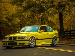 E36, Yellow, trees, viewes, road, BMW