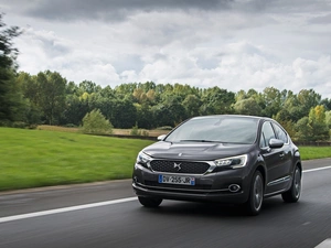 trees, viewes, DS4, Way, Citroen