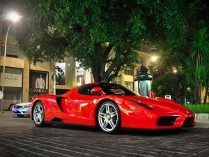 Enzo, Red, trees, viewes, Street, Ferrari