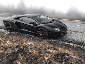 Way, Lamborghini, viewes, Fog, trees, Adventador