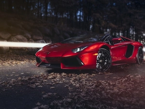 trees, viewes, Lamborghini, Street, Automobile