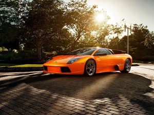 trees, viewes, Lamborghini, Street, Orange