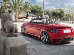 Palms, Monument, trees, viewes, Audi TT