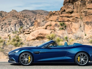 rocks, Plants, Vanquish, Volante, Aston Martin