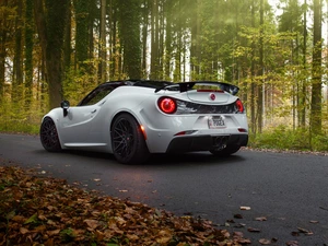 Way, forest, Pogea Racing Centurion, 2015, Alfa Romeo 4C