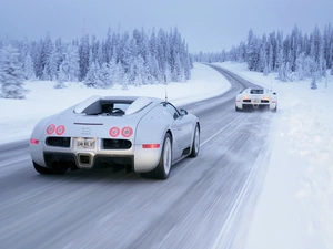 Bugatti, woods, winter, Way