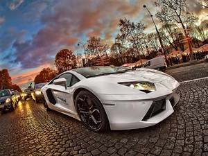 causeway, Lamborghini Aventador, Way