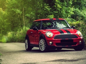 viewes, Way, cooper, trees, Mini