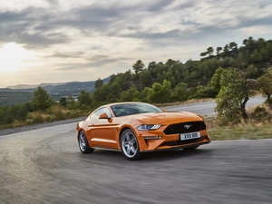 Ford Mustang GT, Way