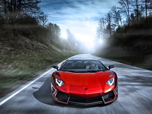 forest, Lamborghini Aventador, Way