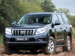 Toyota, Prado TX, Way, Land Cruiser