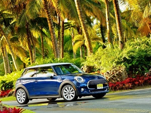 Mini, Way, Palms, Cooper F56