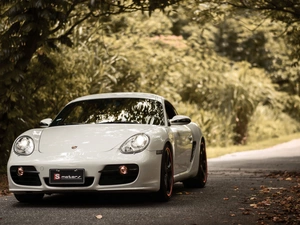 Porsche Cayman S, Way