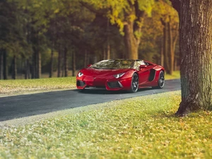 Red, Aventador, Way, Lamborghini