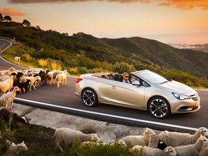 Cascada, Sheep, sun, Mountains, west, Opel, Automobile, Way