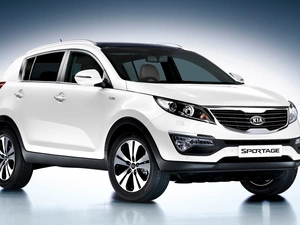 White, Sportage, Kia