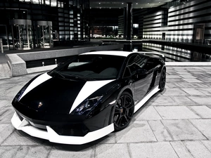 Lamborghini Gallardo, black, White