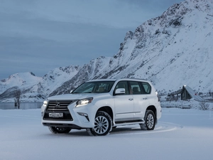 2014, White, Lexus GX 460
