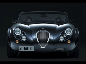 Grill, Front, Wiesmann MF3