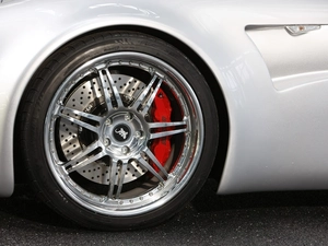 grip, Wiesmann GT MF5, Shield