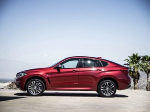 Red, BMW X6