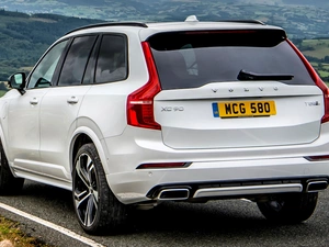2020, White, Volvo XC90