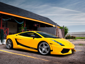 Yellow, Lamborghini Gallardo